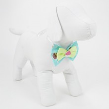 Borboleta pra Cachorro 